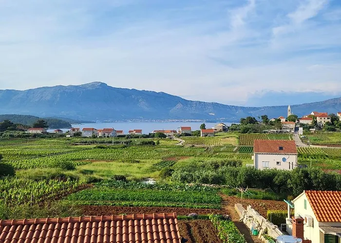 Stone House Didini Dvori 公寓 *